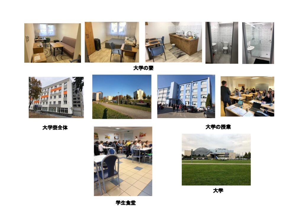 画像に alt 属性が指定されていません。ファイル名: 文書1-1-pdf-1024x724.jpg