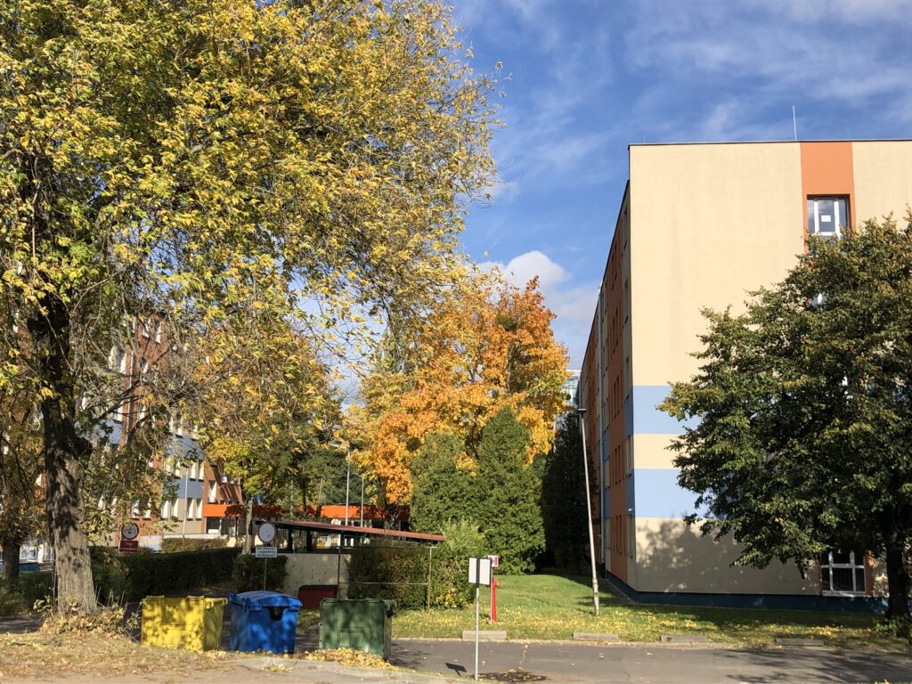 私の住居／大学の寮